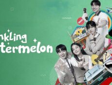 مسلسل Twinkling Watermelon الحلقة 16 السادسة عشر مترجمة