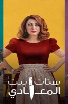 ستات بيت المعادي