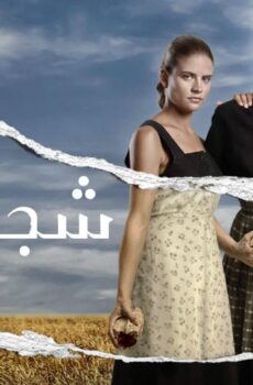 شجر الحور