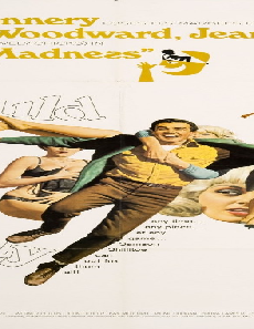فيلم A Fine Madness 1966 مترجم