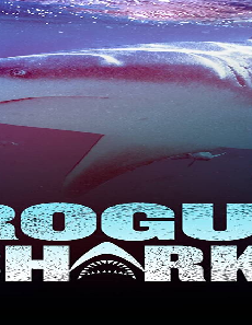 فيلم Rogue Shark 2021 مترجم