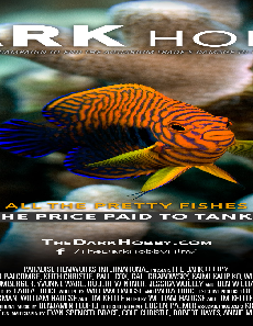 فيلم The Dark Hobby 2021 مترجم