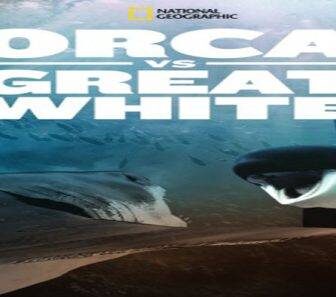 فيلم Orca vs Great White 2021 مترجم