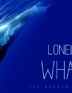 فيلم The Loneliest Whale The Search For 52 2021 مترجم