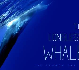 فيلم The Loneliest Whale The Search For 52 2021 مترجم