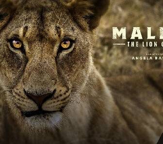 فيلم Malika the Lion Queen 2021 مترجم