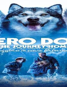 فيلم Hero Dog The Journey Home 2021 مترجم