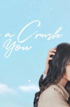Have A Crush On You
