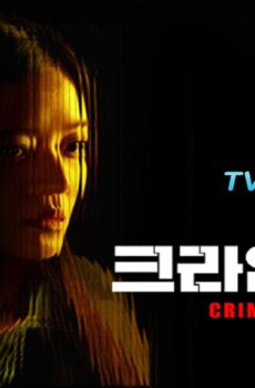 Crime Puzzle
