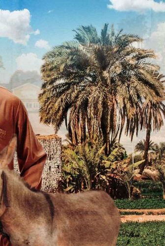 مسلسل شخلول الحلقة 1 الاولي