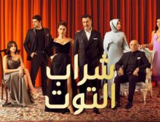 مسلسل شراب التوت الموسم 2 الحلقة 22 الثانية والعشرون مدبلجة