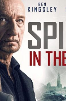 فيلم Spider in the Web 2019 مترجم