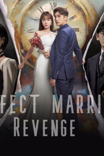 Perfect Marriage Revenge