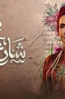 من شارع الهرم إلى