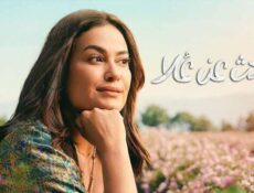 مسلسل البحث عن علا الموسم 2 الحلقة 3 الثالثة