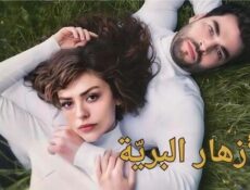 مسلسل الازهار البرية الحلقة 13 الثالثة عشر مدبلج