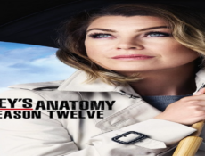 مسلسل Grey’s Anatomy الموسم 24 الحلقة 24 مترجمة كاملة