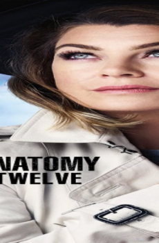 Grey’s Anatomy الموسم 24