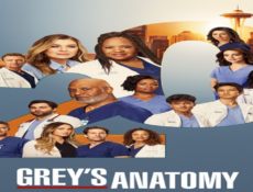 مسلسل Grey’s Anatomy الموسم 20 الحلقة 4 مترجمة كاملة