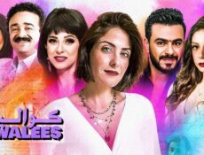 مسلسل كواليس الحلقة 24 الرابعة والعشرون