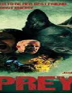 فيلم Cordes 2019 مترجم