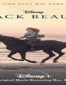 فيلم Black Beauty 2020 مترجم