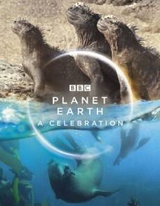 فيلم Planet Earth A Celebration 2020 مترجم