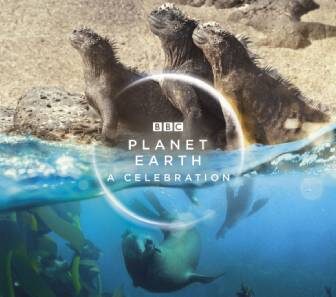 فيلم Planet Earth A Celebration 2020 مترجم