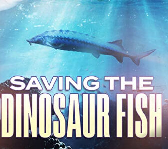 فيلم Saving The Dinosaur Fish 2020 مترجم