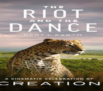 فيلم The Riot And The Dance 2020 مترجم