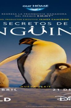 Secrets of the Penguins