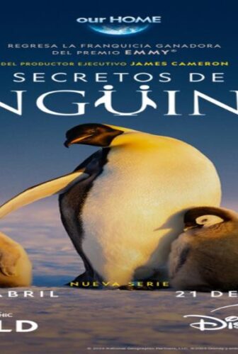 Secrets of the Penguins