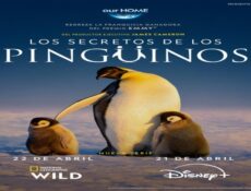 مسلسل Secrets of the Penguins الحلقة 1 مترجمة