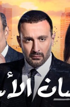 الحصان الأسود