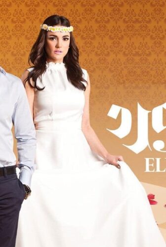 مسلسل زي الورد الحلقة 20 العشرون