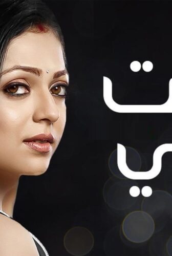 مسلسل سرقت زوجى الحلقة 20 العشرون مدبلج