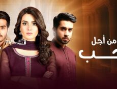 مسلسل من أجل الحب الحلقة 29 ( الأخيرة ) مدبلجة