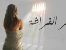 مسلسل أثر الفراشة الحلقة 27 السابعة والعشرون