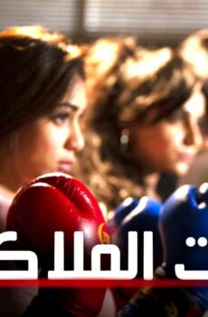 بنات الملاكمة
