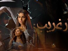 مسلسل دار غريب الحلقة 7 السابعة