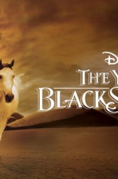 فيلم The Young Black Stallion 2003 مترجم