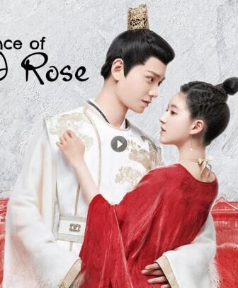 مسلسل The Romance of Tiger and Rose الحلقة 22 مترجمة ( رومانسية النمر والوردة )