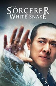فيلم The Sorcerer and the White Snake 2011 مترجم