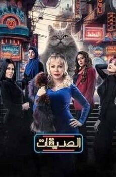 الصديقات (القطط)
