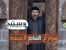 مسلسل شوارع الشام العتيقة الحلقة 21