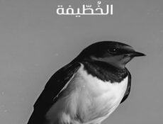 مسلسل الخطيفة الحلقة 24 الرابعة والعشرون