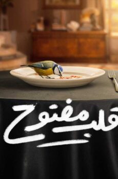 قلب مفتوح