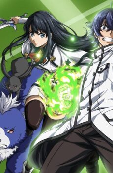Chiyu Mahou no Machigatta Tsukaikata