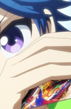 Cardfight Vanguard Divinez
