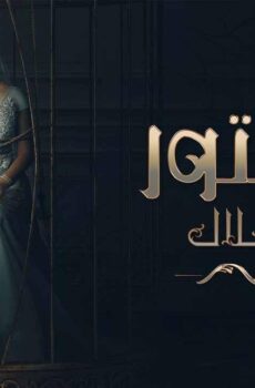 المستور ضحايا حلال